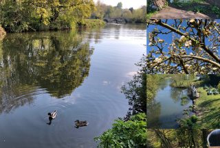 #MentalHealthAwarenessWeek – Our nature photos thumbnail