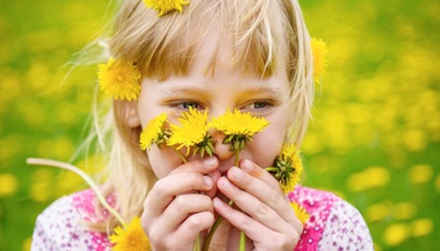 Picture of young girl with dandelions.